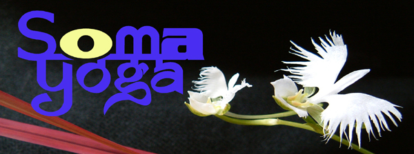 soma-mast.jpg